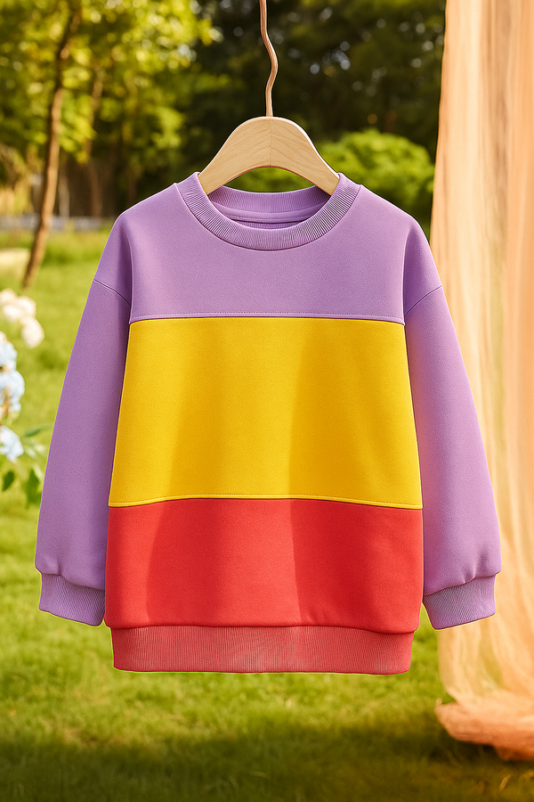 Tricolor Fun Sweatshirt